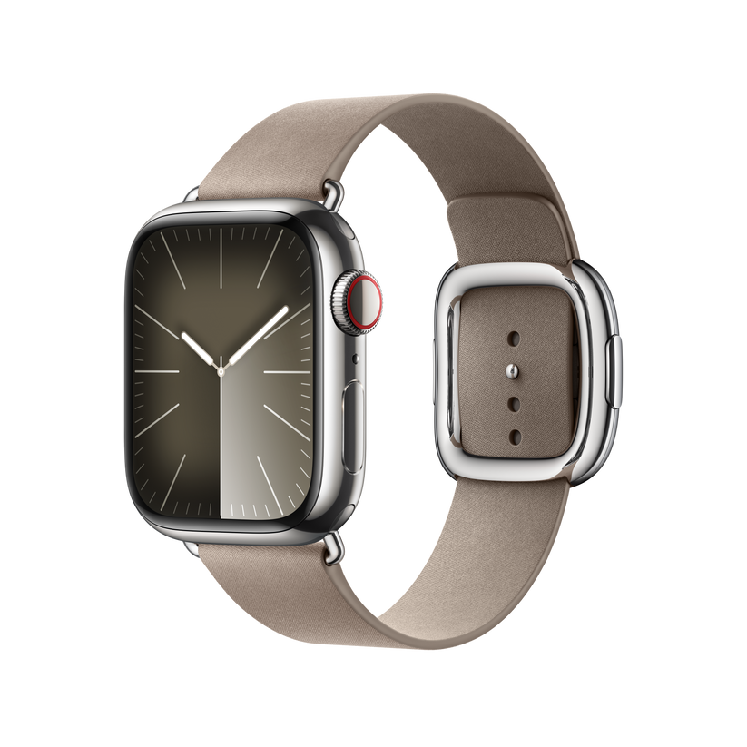 Apple Watch Modern Buckle