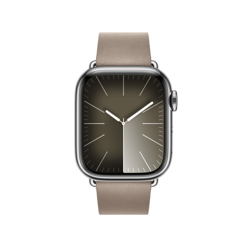 Apple Watch Modern Buckle