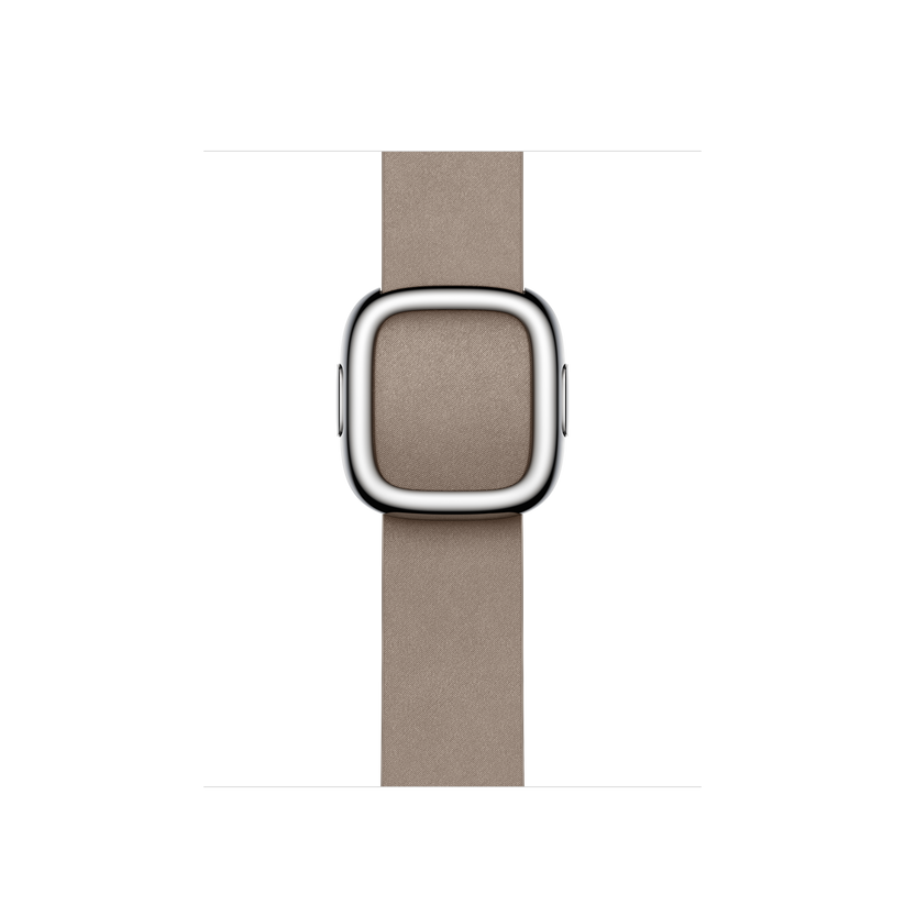 Apple Watch Modern Buckle