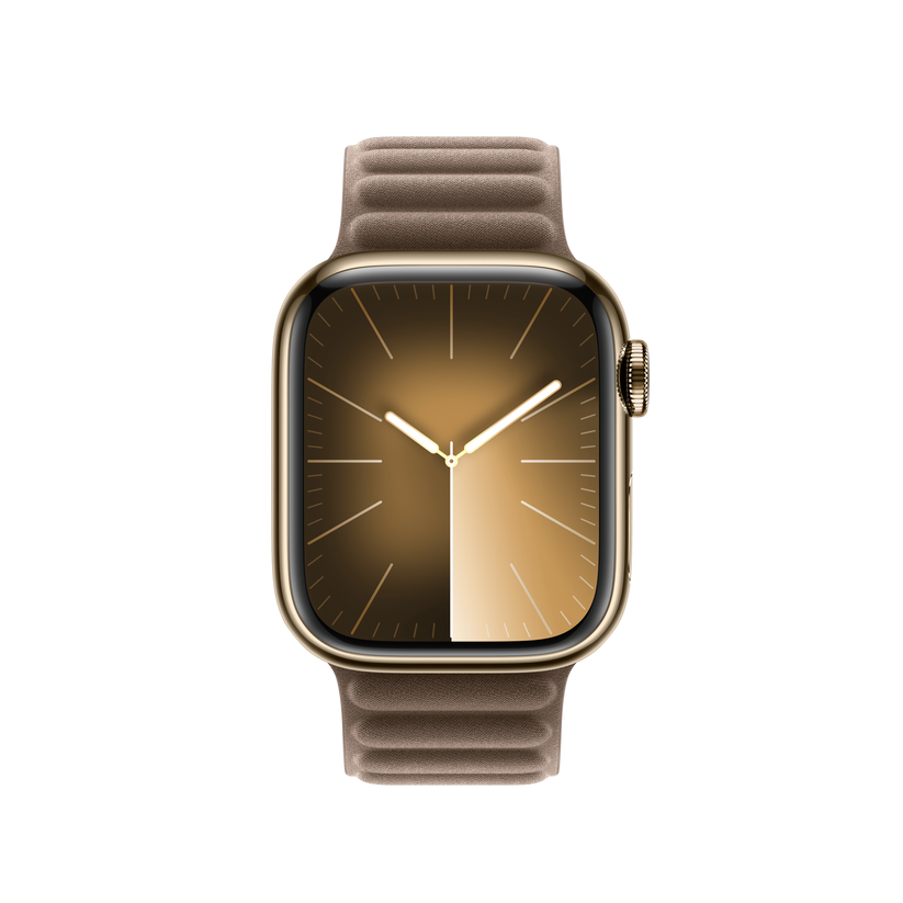 Apple Watch Magnetic Link
