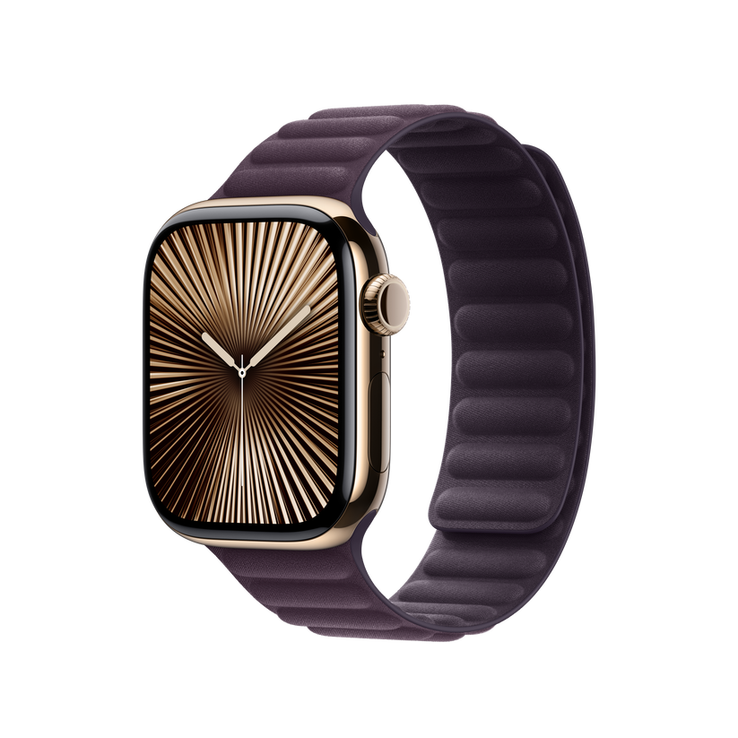 Apple Watch Magnetic Link