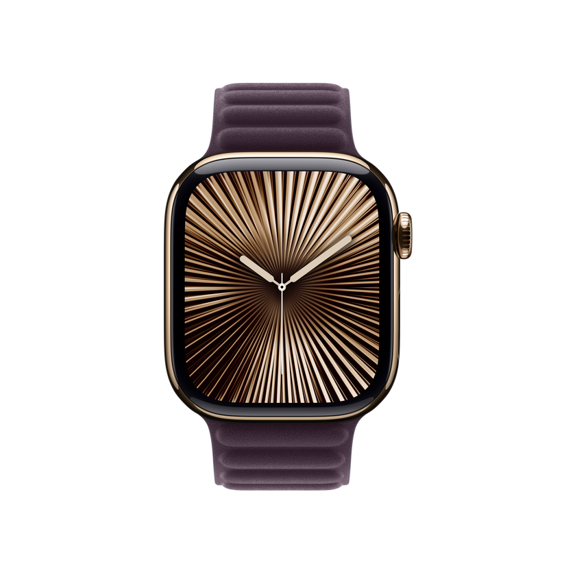 Apple Watch Magnetic Link