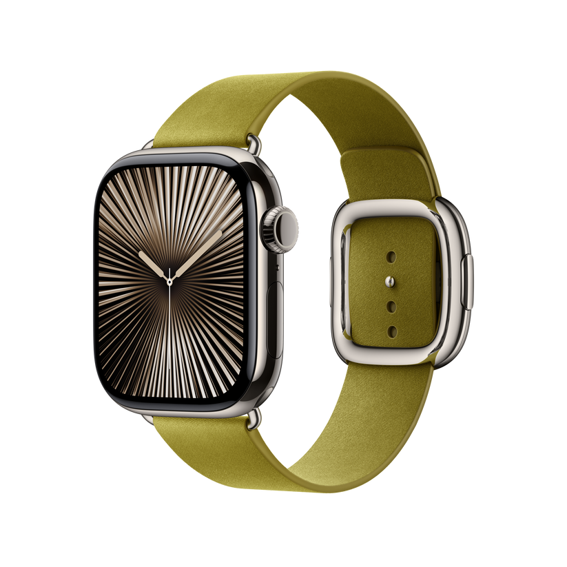 Apple Watch Modern Buckle