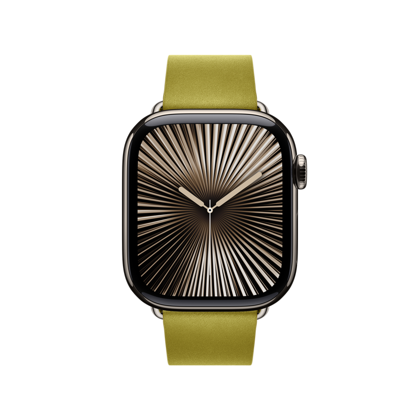 Apple Watch Modern Buckle