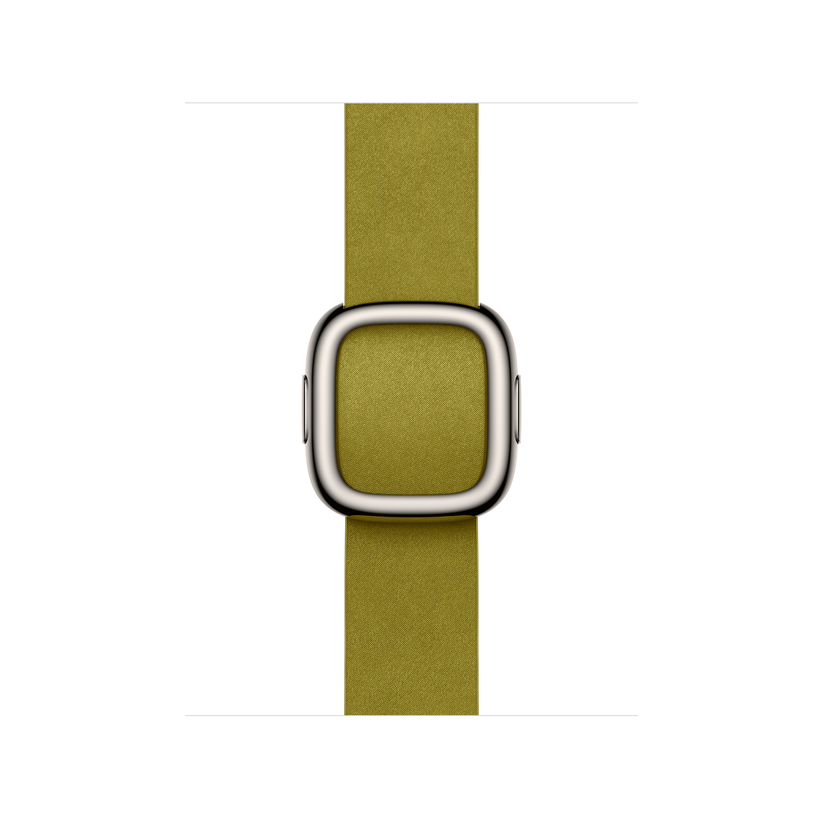 Apple Watch Modern Buckle