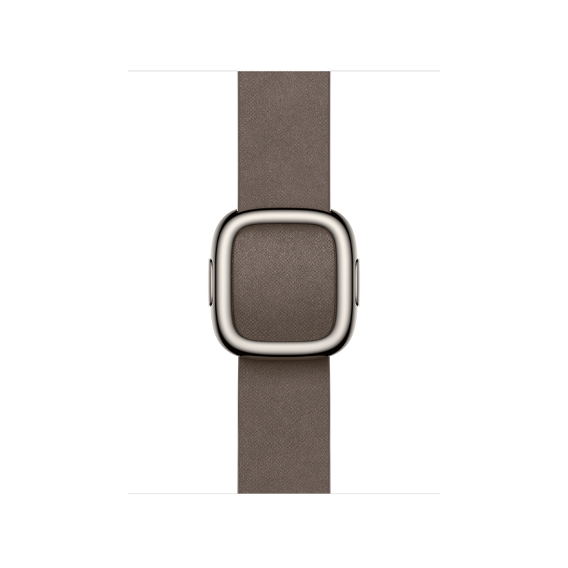 Apple Watch Modern Buckle