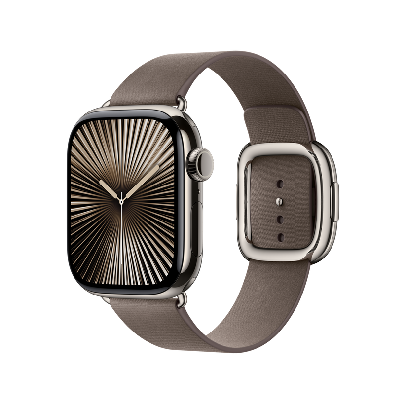 Apple Watch Modern Buckle