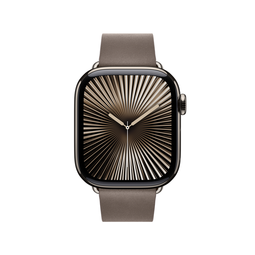 Apple Watch Modern Buckle