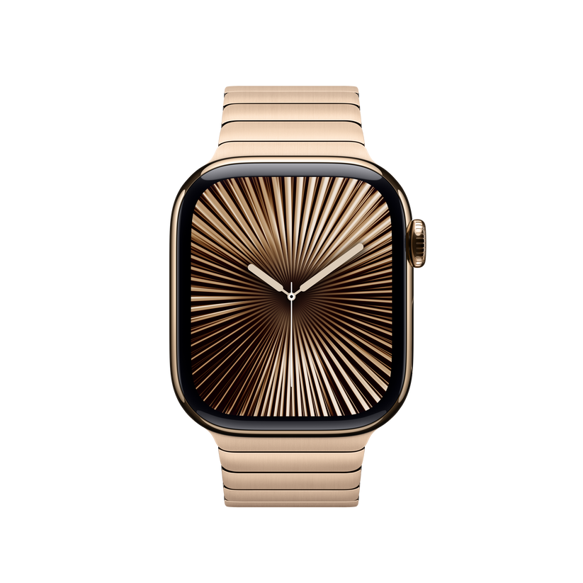 Apple Watch Link Bracelet