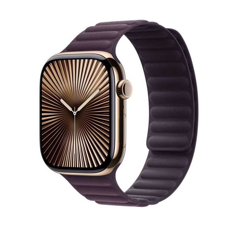 Apple Watch Magnetic Link