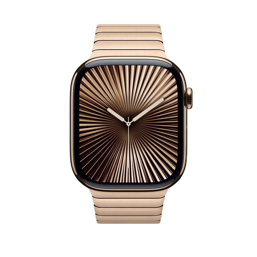Apple Watch Link Bracelet