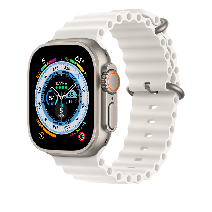 Apple Watch Ocean Band