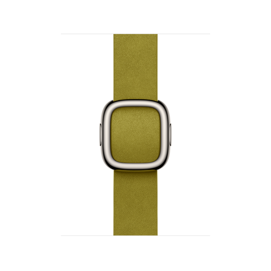 Apple Watch Modern Buckle