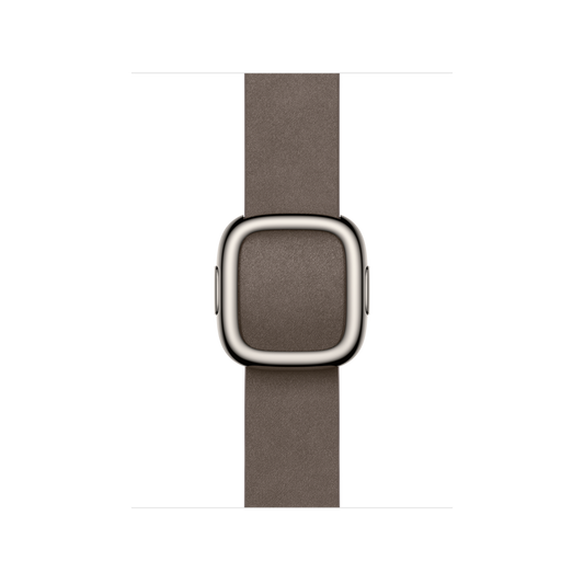 Apple Watch Modern Buckle